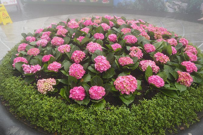 Private car and cable car ticket to the Ba Na hills and Golden Bridge - Key Points