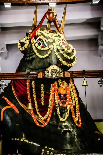 Private car and driver Bangalore Excursion to Bannerghatta - A Deep Dive into the Bangalore Excursion to Bannerghatta