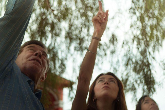 "Private Car and Driver - Passenger insurance -Master Artist's Studios -Weavers- - Discover Oaxaca’s Artistry with a Private Guided Tour