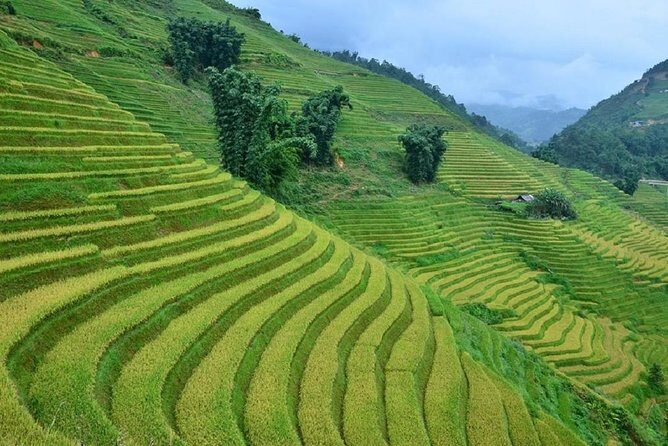 Private Car and Tour Guide Exploring Northern Vietnam - Overall Value and Experience