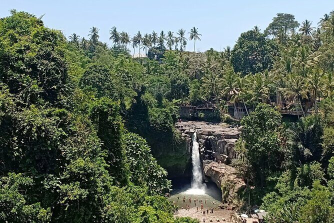 Private Car Charter: Hire Car with English Speaking Driver - In-Depth Review of a Bali Private Car Charter