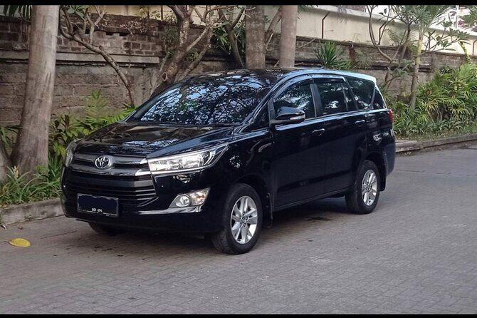 Private Car Charter in Bali with an English-speaking Driver - Who Is This Tour Best For?