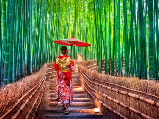 Private Car Charter Osaka City Transfer: Universal Studios Japan, Kyoto, Nara, Kobe, Arima, Wakayama, Nagoya (One-Way Transfer) - What the itinerary really means