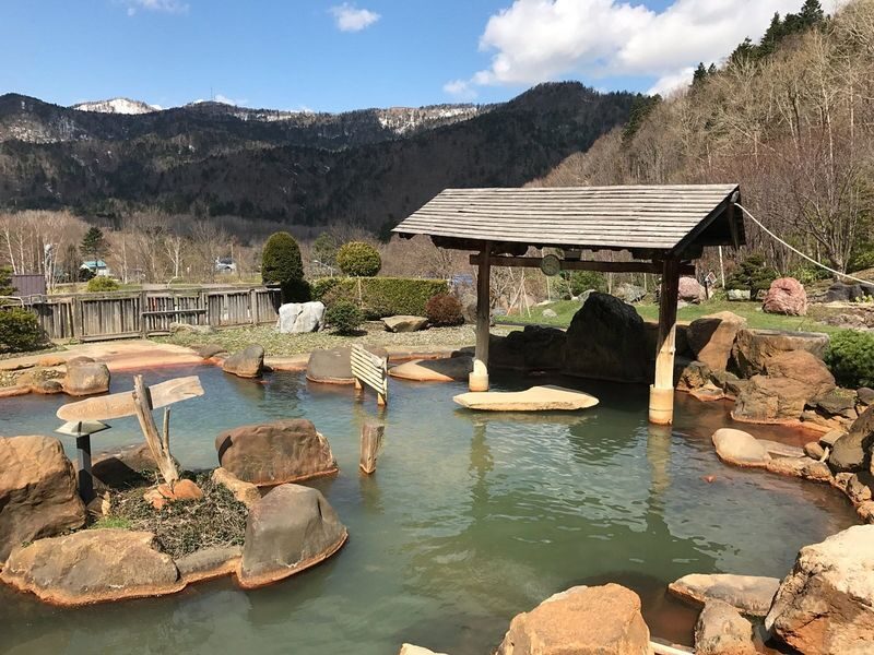 Private Car Charter Tour: Hokkaido Sapporo, Jozankei, and Otaru Day Trip | Customizable Itinerary - What the price includes, and what can add up