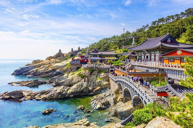 Private Car Charter Tour in Busan City - Exploring Busan’s Highlights in Style