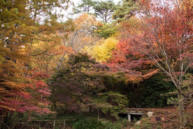 Private Car Day Trip to the Kobe Mountains, Gardens and Hot Springs from Osaka - FAQs