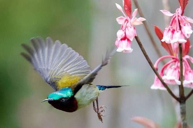 Private car to Ba Na hill from Da Nang - The Sum Up