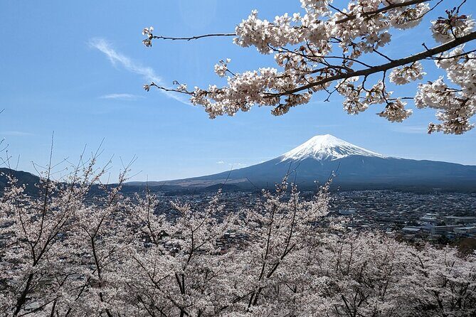 Private Car Tour to Mt. Fuji Lake Kawaguchiko or Hakone - Experience the Best of Mount Fuji in a Private Day Tour