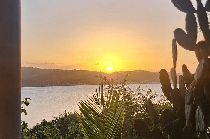 Private Car Tour to Negril Jamaica - Exploring the Itinerary: What You’ll Experience