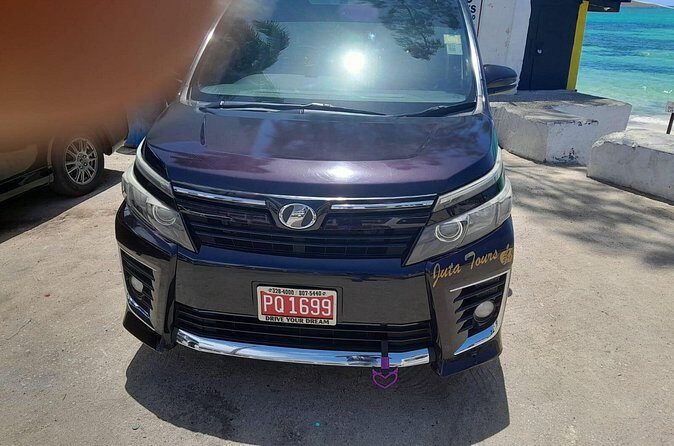 Private Car Tour to Negril Jamaica - Summary: Who Should Consider This Tour?