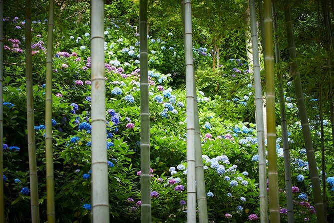 Private Car Tour to see Highlights of Kamakura, Enoshima, Yokohama from Tokyo - Seasonal and Cultural Highlights: Gardens, Shrines, and Hidden Spots