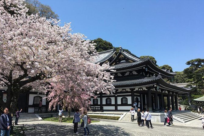 Private Car Tour to see Highlights of Kamakura, Enoshima, Yokohama from Tokyo - Who Should Consider This Tour?