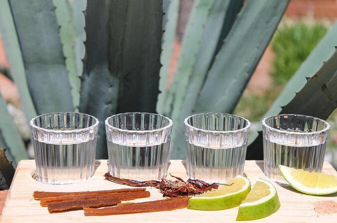 private car tour with driver - Frequently Asked Questions