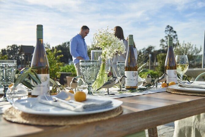 Private Casablanca Valley De Luxe Wine Tour - Key Points