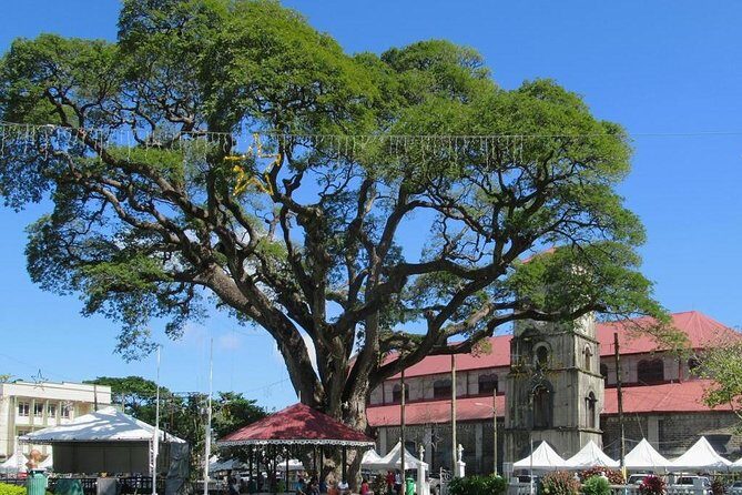 Private Castries or Shopping Tour/Transfers - The Meeting Point and Ease of Use