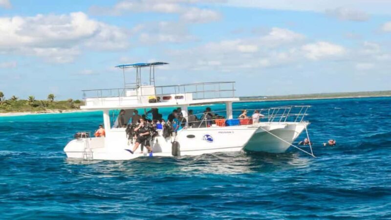 Private: Catalina Island Diving Tour with Lunch - Final Thoughts