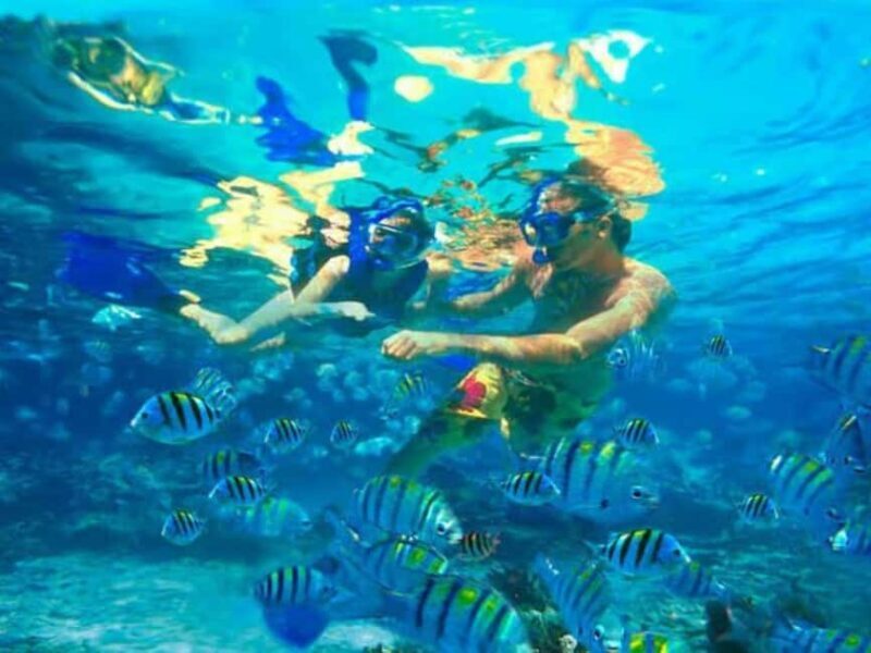 Private: Catalina Island Snorkel Dive Day Trip from Bayahibe - The Midday Break: Dominican Cuisine and Cultural Fun
