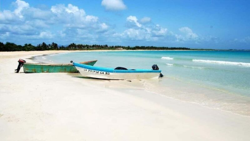 Private: Catalina Island Snorkeling & BBQ Boat Tour - Comparing and Contrasting Similar Experiences