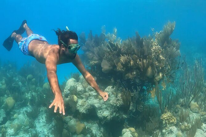 Private Catamaran Charter on Elusive - FAQ