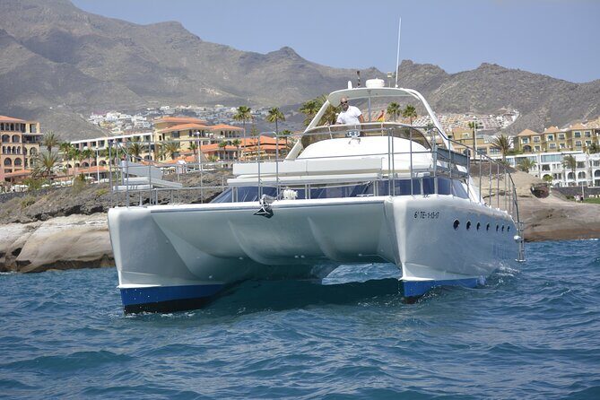 Private Catamaran Charter with Transfer, Buffet and Snorkeling - Authentic Experiences and What Travelers Say