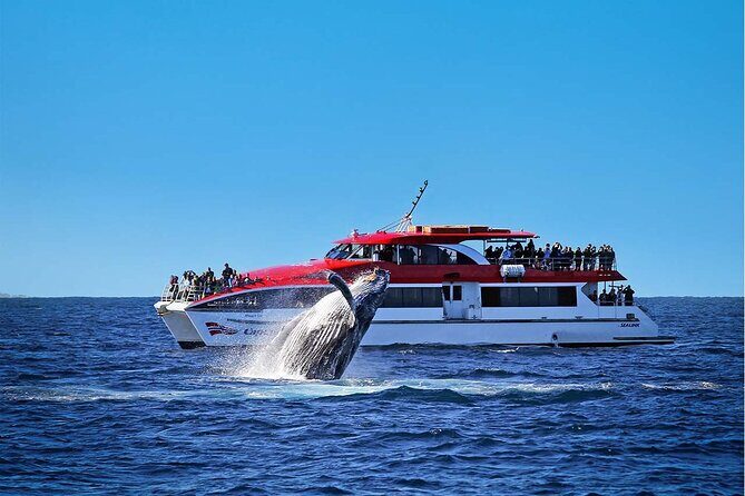 Private Catamaran Hire on Sydney Harbour - Frequently Asked Questions