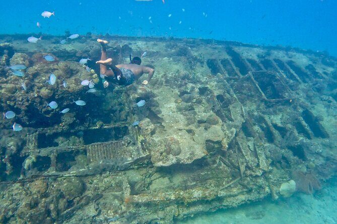 Private catamaran sail & snorkel - Key Points