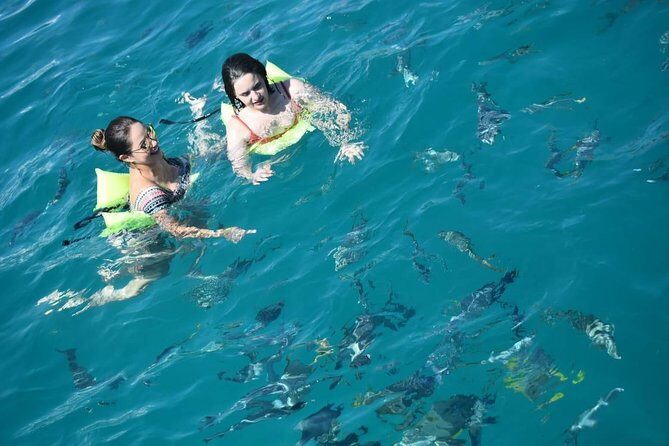 Private Catamaran Snorkeling Cruise in Los Cabos - Final Thoughts: Who Should Consider This Tour?