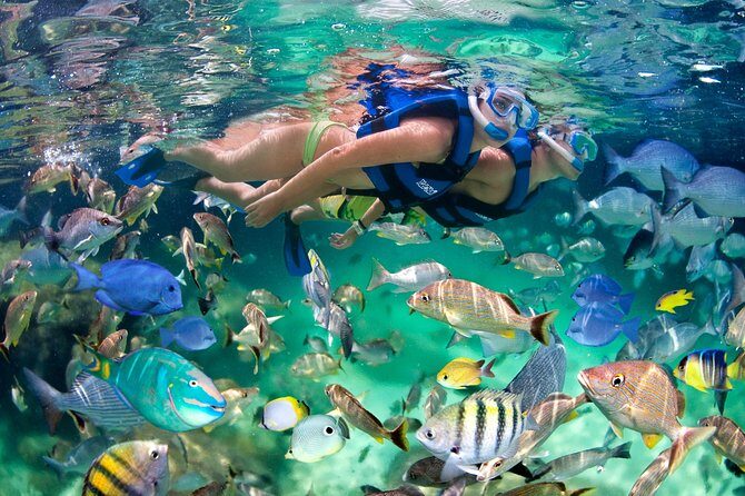 Private Catamaran Snorkeling Family Adventure - Who Is This Tour Perfect For?