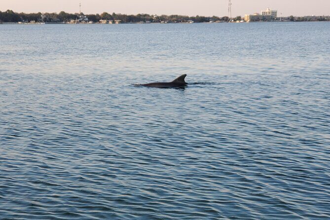 Private Catamaran Sunset Cruise with Dolphin watching - Wrapping It Up: Is It Worth It?