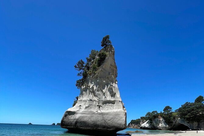 [PRIVATE] Cathedral Cove and Hot Water Beach - Experience the Best of Coromandel: Cathedral Cove & Hot Water Beach