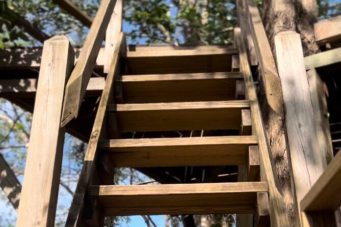 PRIVATE Cave Tubing & Zipline Tour with lunch from Placencia - FAQ