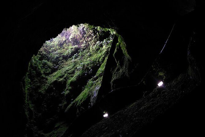 Private Caves Tour with a Geologist - Why Choose This Tour?