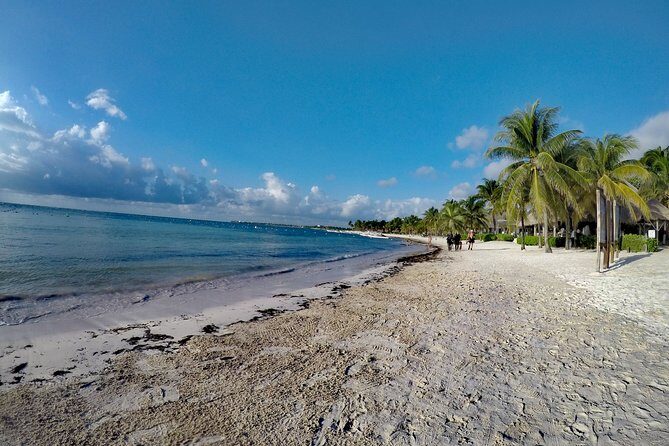 Private Cenote & Snorkeling Tour with Turtles in Akumal - Key Points