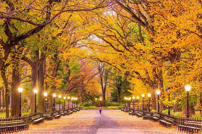 Private Central Park Pedicab Tour - A Practical Guide to the Private Central Park Pedicab Tour