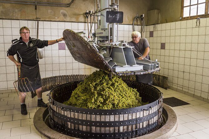 Private Champagne Day Trip to Vineyards of Reims with French Lunch from Paris - Who Would Love This Tour?