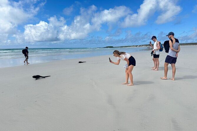 Private Charles Darwin Station Tour &Tortuga Bay Beach with lunch - Exploring Santa Cruz: A Full Day of Galapagos Wonders with a Private Guide