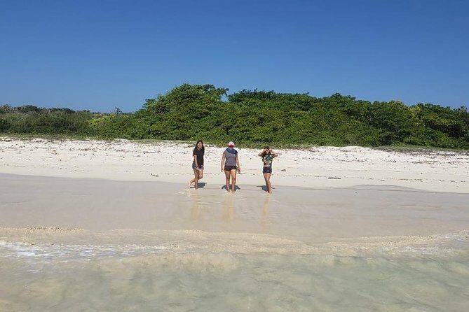 Private Charles Darwin Station Tour &Tortuga Bay Beach with lunch - Key Points