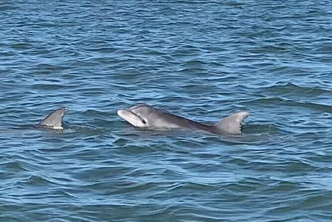 Private Charleston Sunset & Dolphin Cruise - FAQ