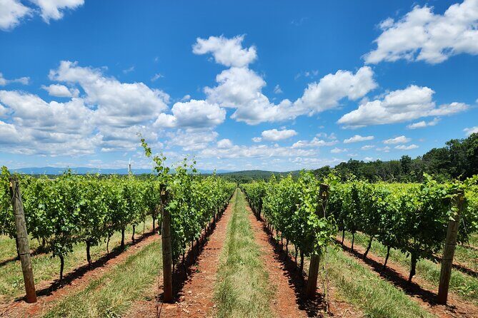 Private Charlottesville Area Wine Tour - FAQs