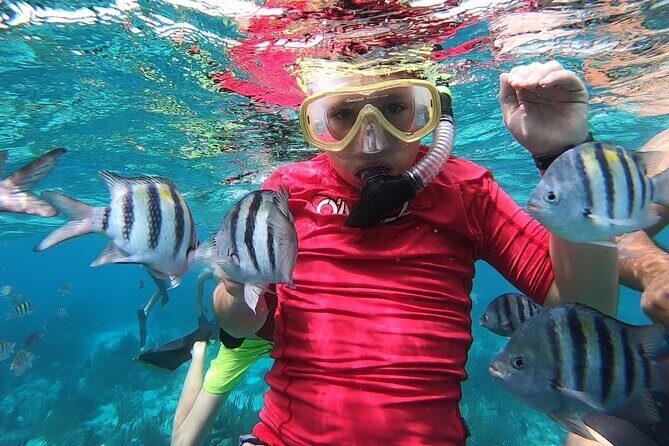 Private Charter 28ft Grady White. Stingrays, Snorkeling, Starfish - FAQs