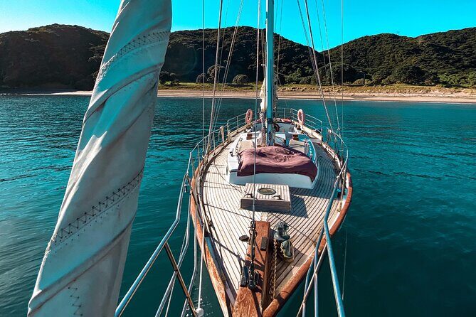 Private Charter Bay of Islands - The Reviews Speak Volumes