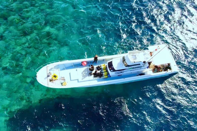 Private Charter Boat Fishing & Trolling Experience in Okinawa - Heat, seasickness and what to bring