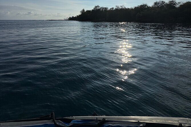 Private Charter Custom Kealakekua Bay Snorkeling - FAQs