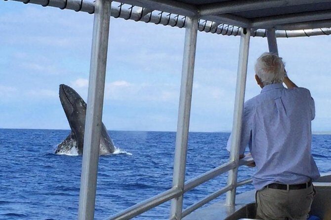 Private Charter: Customizable Big Island Boat Adventure - Key Points