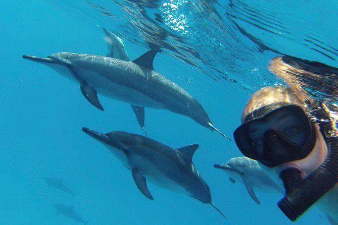 Private Charter: Customizable Big Island Boat Adventure - Final Thoughts