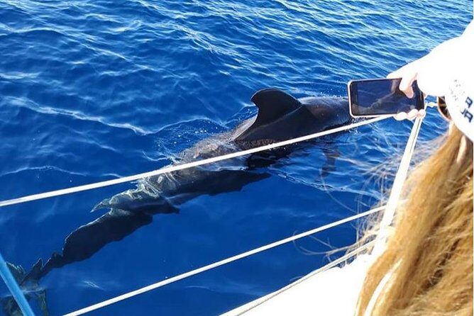 Private Charter in Tenerife south max 7 people - Frequently Asked Questions