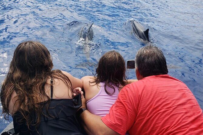 Private Charter Morning Snorkel and Wildlife Watch. Up to 18 Pax - Exploring the Big Island with a Private Morning Snorkel and Wildlife Watch