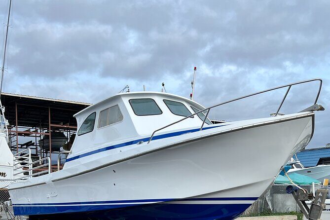 Private Charter Morning Snorkel and Wildlife Watch. Up to 18 Pax - Key Points