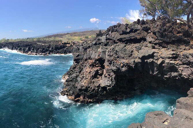 Private Charter Morning Snorkel and Wildlife Watch. Up to 18 Pax - Why This Tour Stands Out