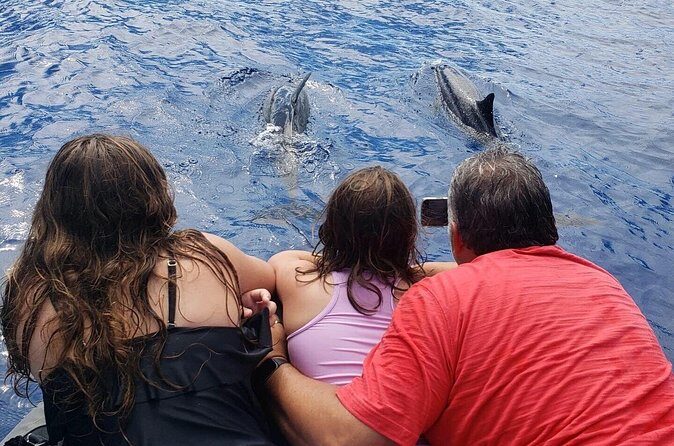 Private Charter Morning Snorkel and Wildlife Watch. Up to 18 Pax - Final Thoughts: Who Will Love This Tour?